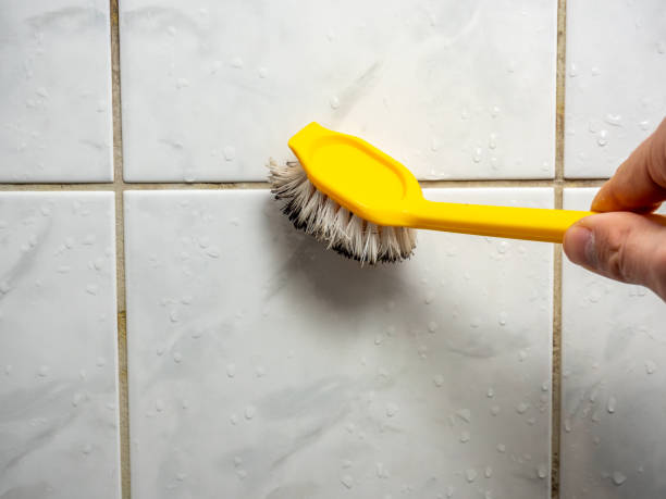 Best Water Damage Restoration  in Enterprise, WV