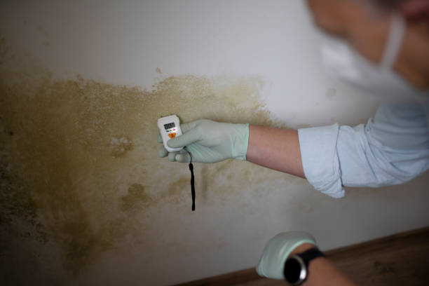 Crawl Space Mold Removal in Enterprise, WV