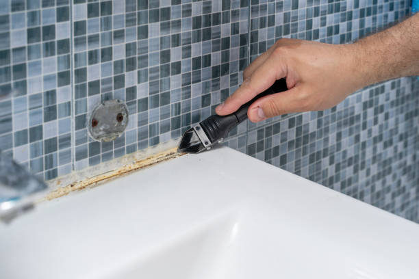 Best Emergency Mold Removal  in Enterprise, WV
